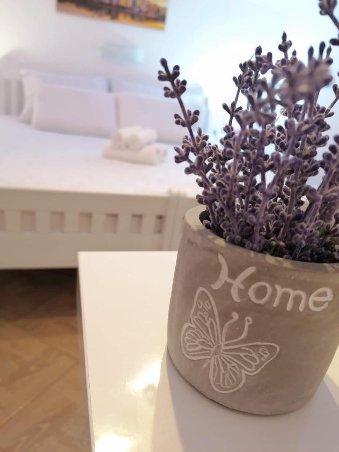 Guest House Macic โคเรนนิซา ภายนอก รูปภาพ